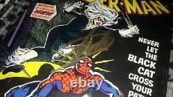 Amazing Spider-man 194 Stan Lee Signé Cgc 4.0 1ère Application Black Cat Key Comic Book