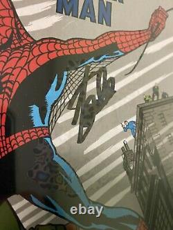 Fantasy Incroyable Vrais Croyants 15 Cgc 9.6 Ss Signé Stan Lee Spider-man